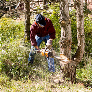 Safe Chainsaw Usage